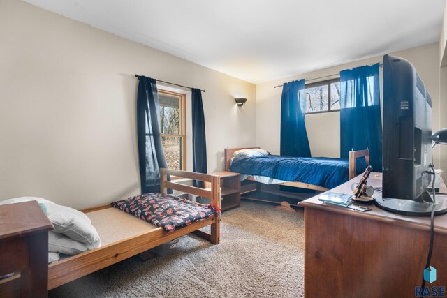 29783 Frog Creek Rd, Centerville, SD 57014 - view of carpeted bedroom