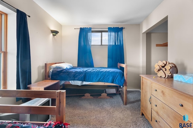 29783 Frog Creek Rd, Centerville, SD 57014 - view of carpeted bedroom
