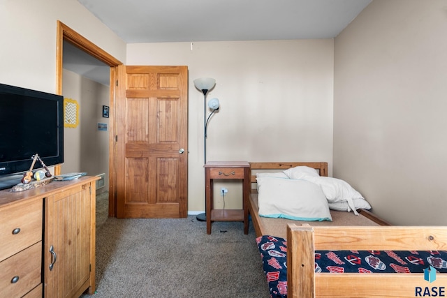 29783 Frog Creek Rd, Centerville, SD 57014 - view of carpeted bedroom
