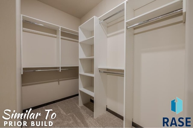spacious closet with carpet floors