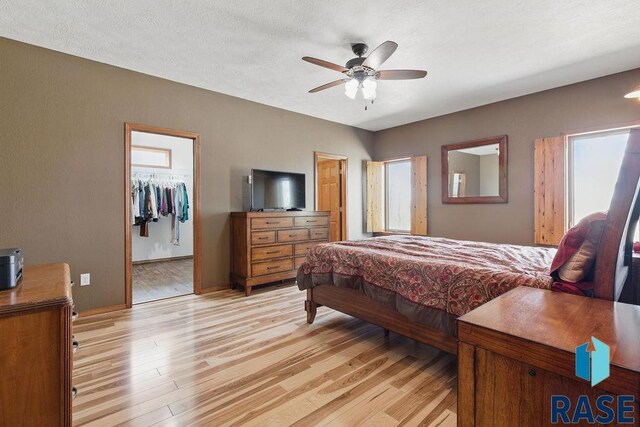 bedroom with multiple windows, a spacious closet, and light wood-style floors
