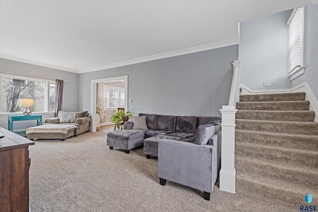 carpeted living room with stairs and ornamental molding