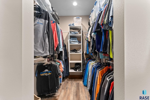 walk in closet featuring wood finished floors