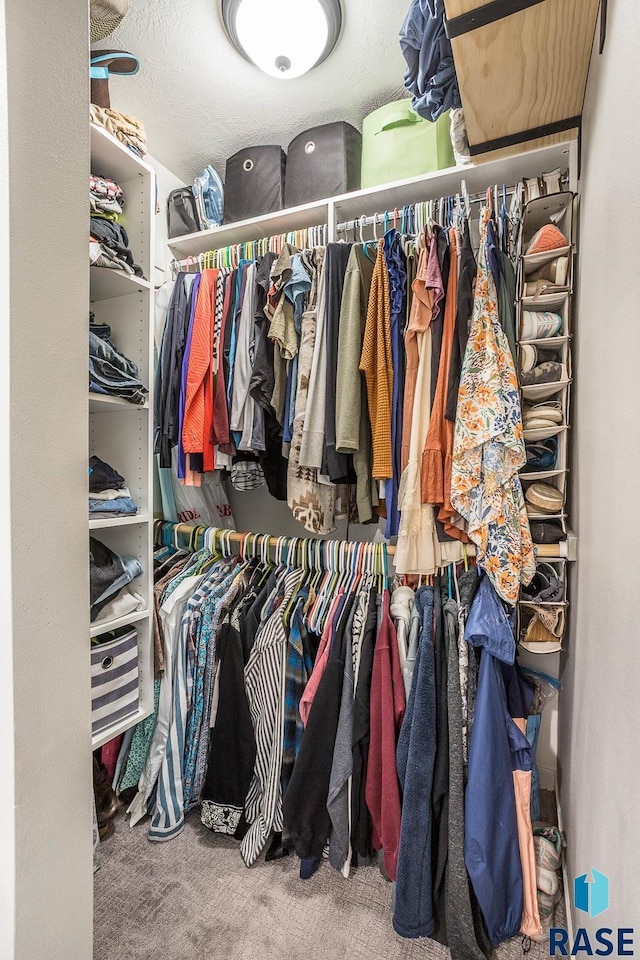 spacious closet featuring carpet