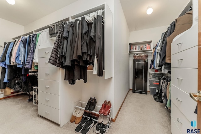 7 N Sun Valley Pl, Sioux Falls, SD 57110 - walk in closet featuring light carpet