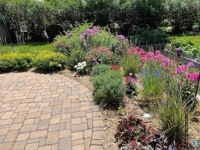 exterior space with fence