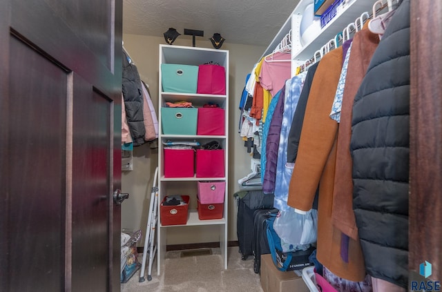spacious closet featuring carpet floors