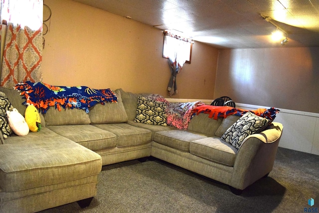 living area featuring rail lighting and carpet