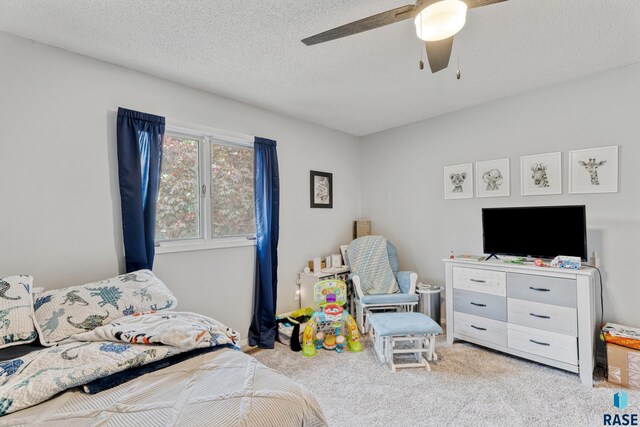 1200 Crestview Dr, Vermillion, SD 57069 - bedroom with carpet, ceiling fan, and a textured ceiling