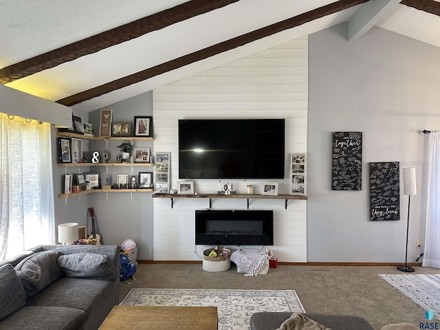 1200 Crestview Dr, Vermillion, SD 57069 - carpeted living area with baseboards