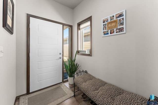 entryway featuring dark wood finished floors