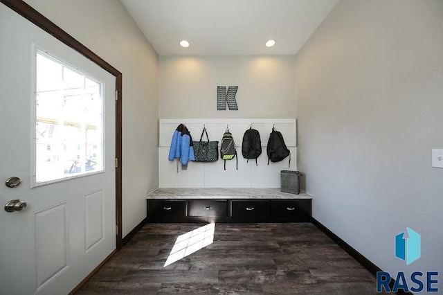 105 N Nora St, Viborg, SD 57070 - mudroom featuring dark wood-style flooring, baseboards, recessed lighting, and a wealth of natural light
