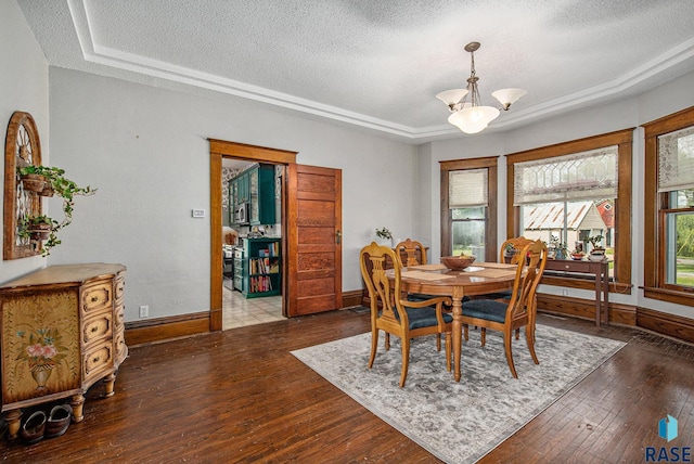 28128 462nd Ave, Davis, SD 57021 - dining area with a raised ceiling, hardwood / wood-style floors, and a textured ceiling