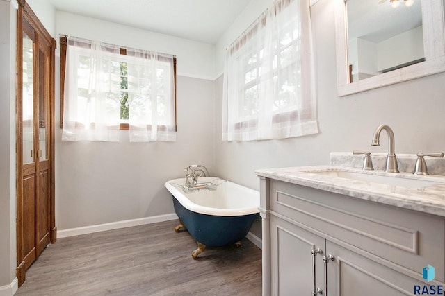 28128 462nd Ave, Davis, SD 57021 - bathroom featuring vanity, a soaking tub, baseboards, and wood finished floors