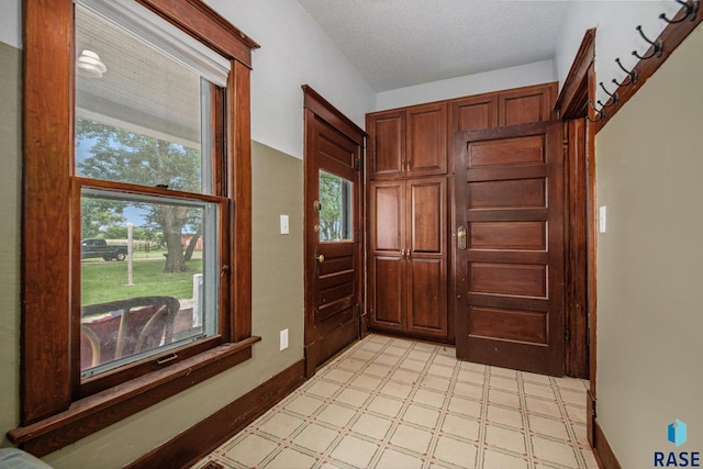 28128 462nd Ave, Davis, SD 57021 - doorway featuring a textured ceiling, baseboards, a wealth of natural light, and light floors