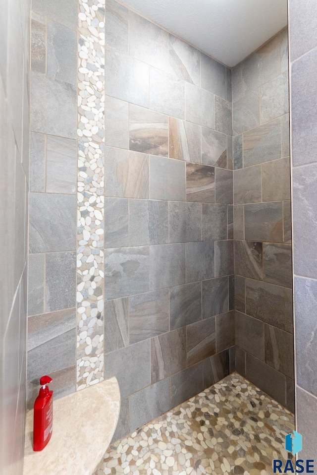 5320 S Solono Ave, Sioux Falls, SD 57108 - bathroom featuring a tile shower