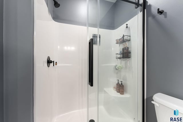bathroom with toilet and a stall shower