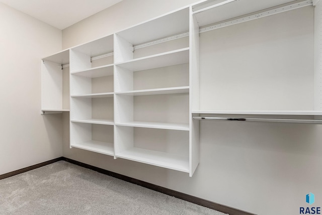 walk in closet featuring carpet floors