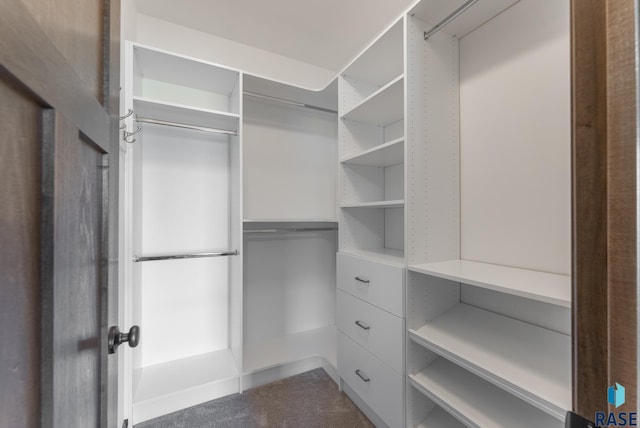 3508 E Prairie Wind St, Sioux Falls, SD 57108 - view of walk in closet