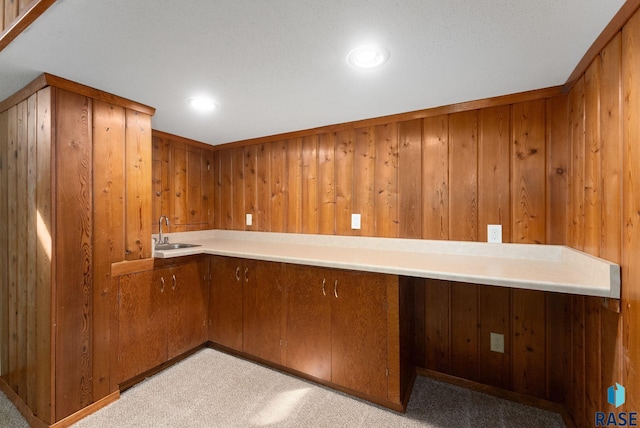 bar with light carpet, wooden walls, a sink, and recessed lighting