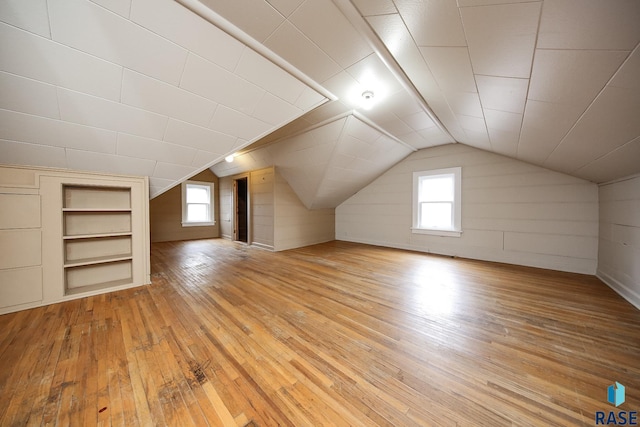 1330 W 14th St, Sioux Falls, SD 57104 - additional living space featuring light wood finished floors, vaulted ceiling, and a wealth of natural light