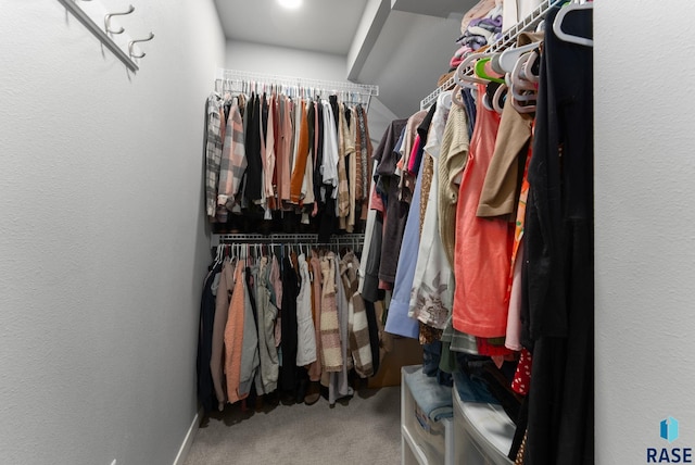 walk in closet with carpet flooring