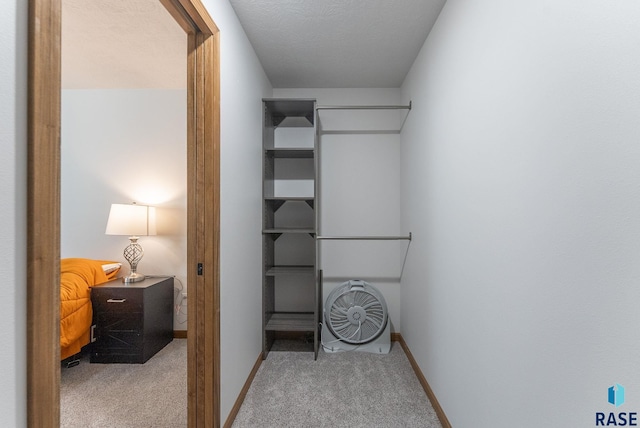 5508 S Sirocco Ave, Sioux Falls, SD 57108 - walk in closet with carpet