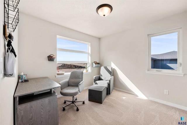 812 Sarah C Cir, Garretson, SD 57030 - office space featuring baseboards and carpet flooring