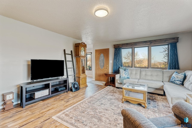 living room featuring wood finished floors, a textured ceiling, and baseboards
