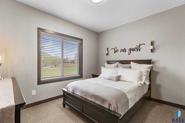 1917 S Firefly Dr, Sioux Falls, SD 57110 - bedroom featuring baseboards and light colored carpet