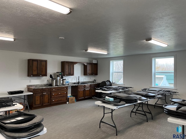 misc room featuring a textured ceiling, a sink, and light carpet