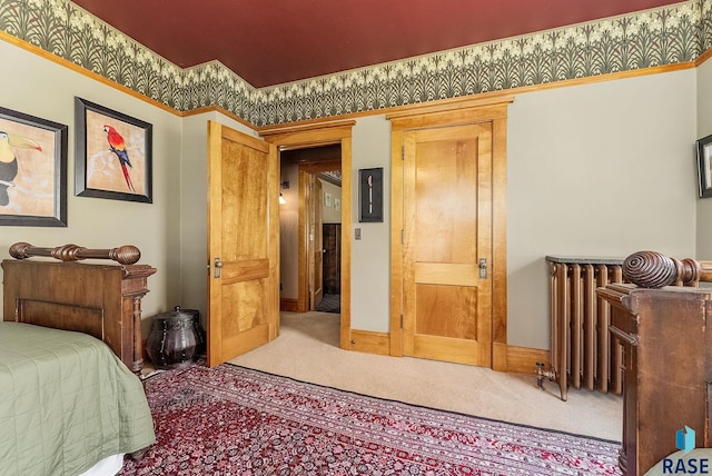 carpeted bedroom featuring radiator heating unit