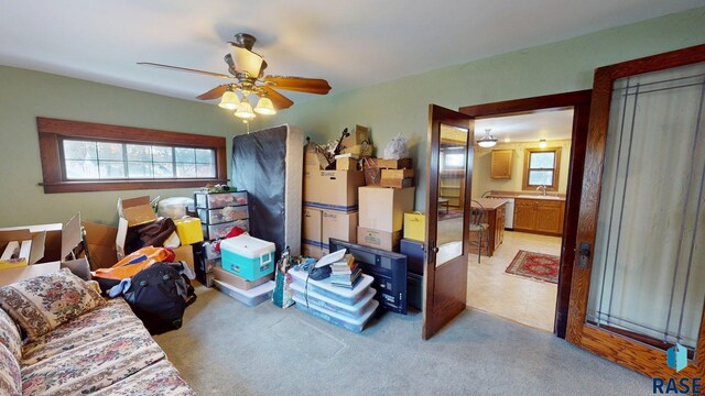 712 6th St, Brookings, SD 57006 - bedroom featuring a sink, a ceiling fan, multiple windows, and carpet