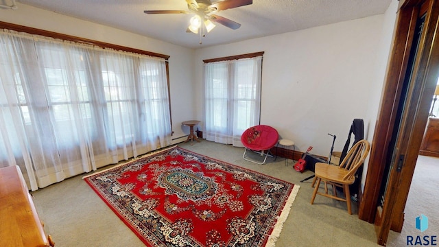 712 6th St, Brookings, SD 57006 - living area with a ceiling fan and carpet