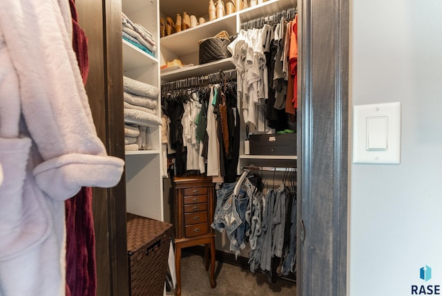 spacious closet featuring carpet flooring
