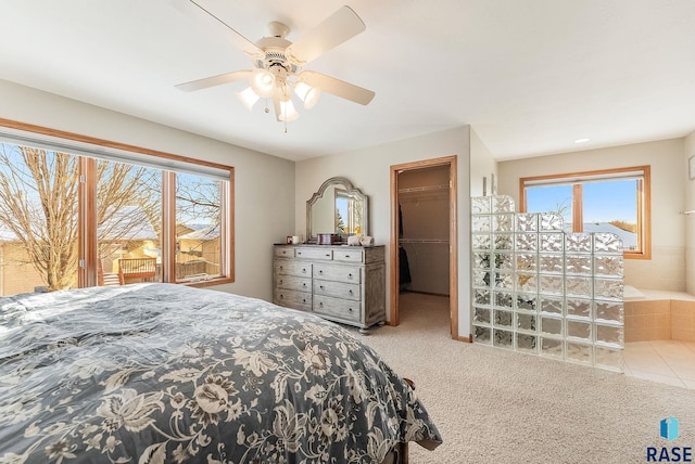 bedroom featuring a ceiling fan, multiple windows, carpet, and a spacious closet