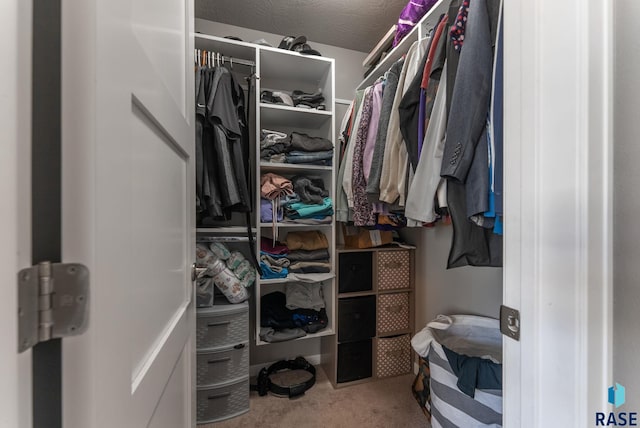 walk in closet featuring carpet