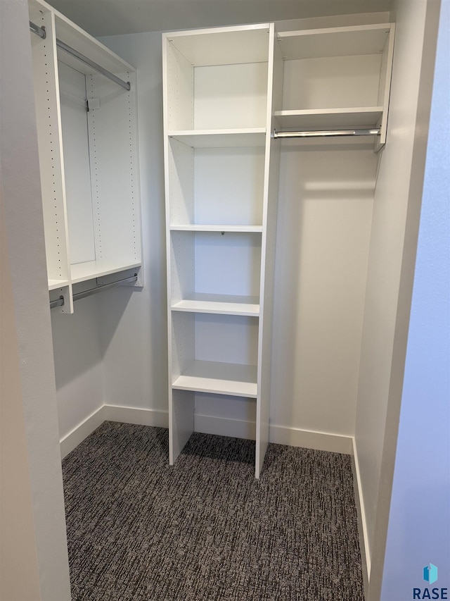 301 W 2nd St, Marion, SD 57043 - spacious closet with dark carpet
