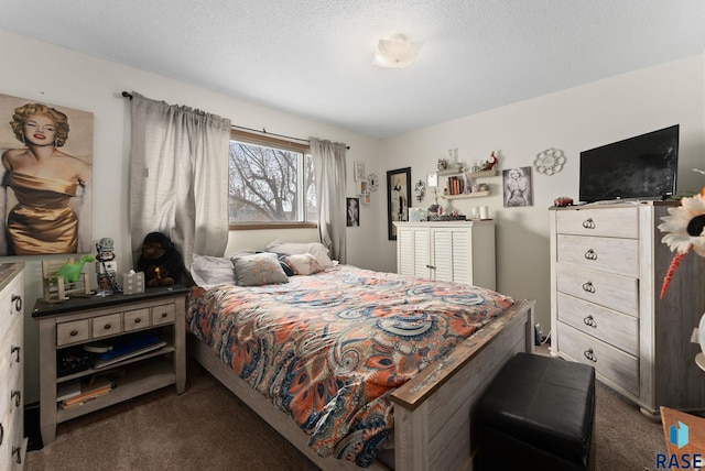 505 E 4th St, Canton, SD 57013 - bedroom featuring dark colored carpet and a textured ceiling