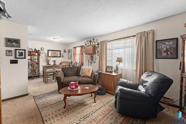 505 E 4th St, Canton, SD 57013 - living room with baseboards, carpet floors, and a textured ceiling