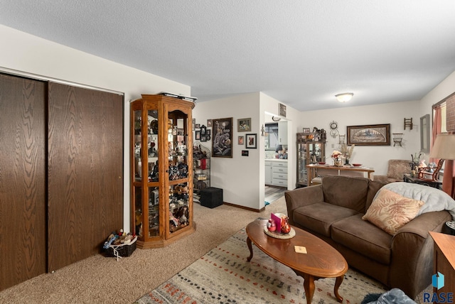 505 E 4th St, Canton, SD 57013 - living area featuring carpet