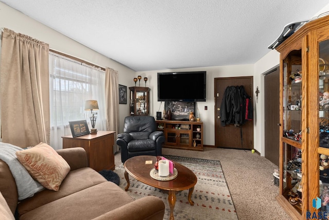 505 E 4th St, Canton, SD 57013 - living room with a textured ceiling and carpet flooring