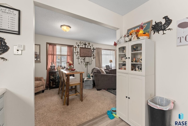 505 E 4th St, Canton, SD 57013 - interior space featuring a textured ceiling, light wood-style floors, light colored carpet, and a healthy amount of sunlight