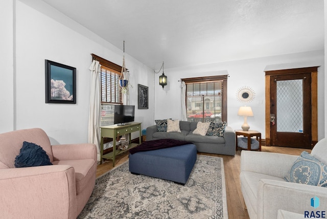 living room featuring a healthy amount of sunlight and wood finished floors