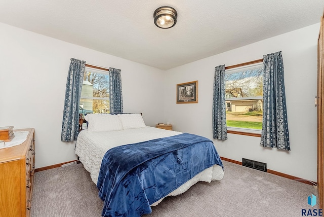409 Boxelder St, Valley Springs, SD 57068 - bedroom with baseboards, visible vents, and carpet