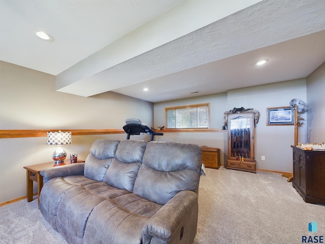 301 W Hackberry St, Brandon, SD 57005 - living area with baseboards, light carpet, and recessed lighting