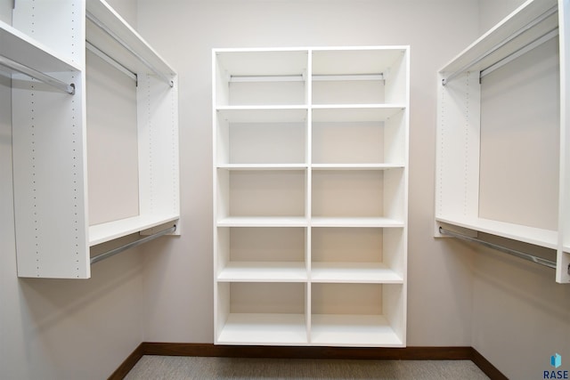 walk in closet featuring carpet