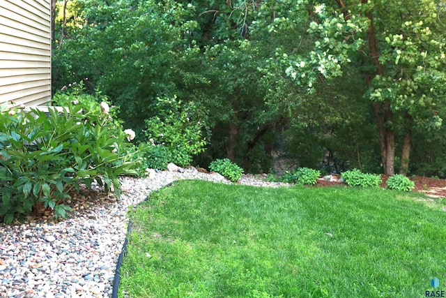 1408 N Tahoe Trl, Sioux Falls, SD 57110 - view of yard