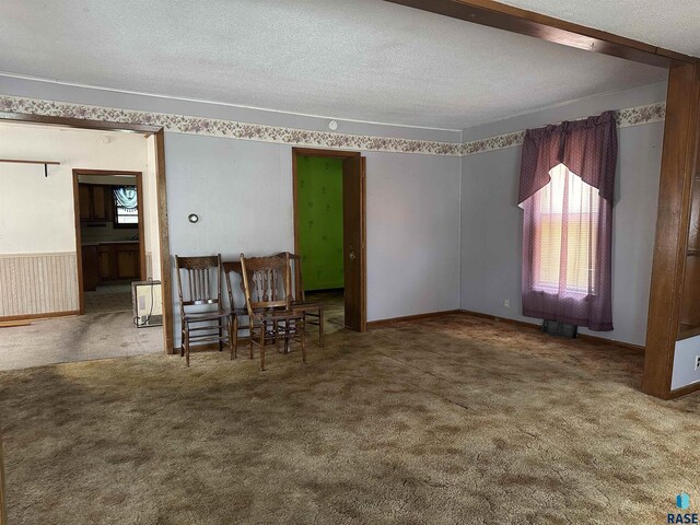 spare room featuring carpet floors and a textured ceiling