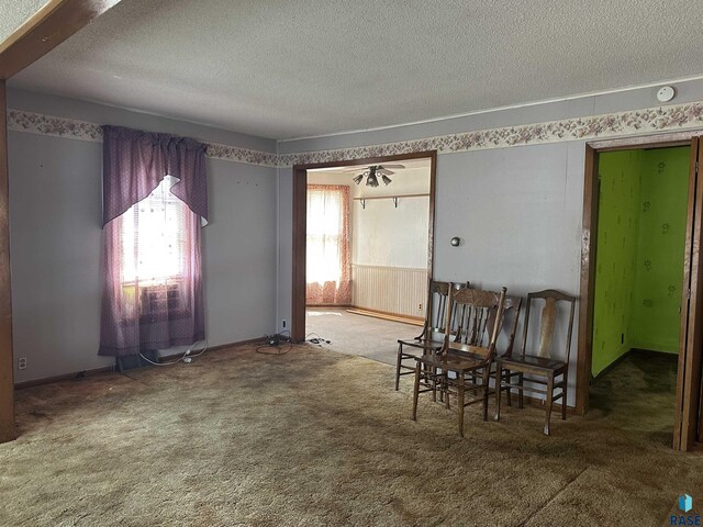 interior space with carpet flooring and a textured ceiling